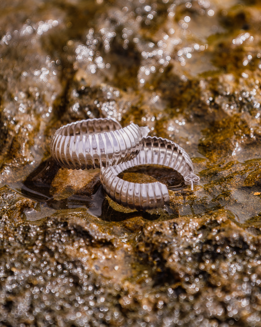 Vénus Argent · façon coquillage